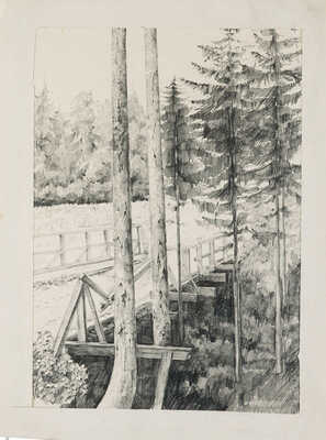 Тамби Владимир Александрович. Мостик в лесу